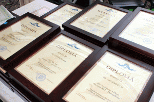 Diplomele conferite businessmenilor anului 2015