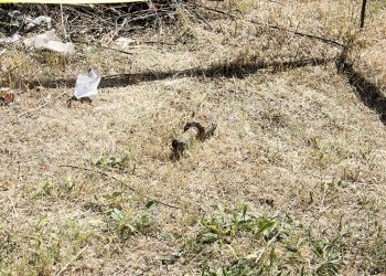 Muniția a fost  descoperită  la scăldat