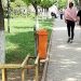 Ne vrem europeni cu două scânduri