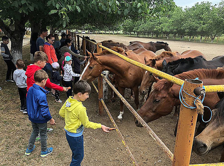 JCI renaște hipismul din Ungheni