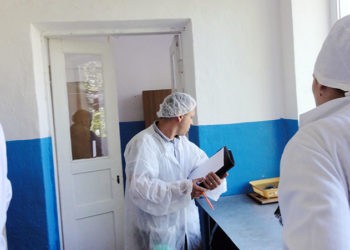 Problemele la taberele de odihnă  vor fi rezolvate… până în vara viitoare