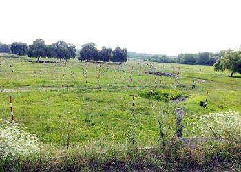 Noroiul ar fi adus de alți șoferi decât cursanții de la școlile auto