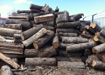 De ce lemnele sunt atât de scumpe?