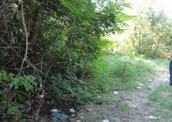 Se caută un milionar și pe deasupra gospodar