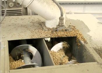 Contabilă pe rol de morăriță