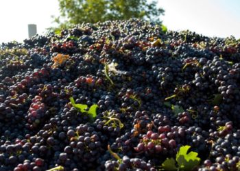 Comod pentru vânzători și cumpărători