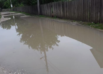 Sunt hrăniți cu promisiuni…