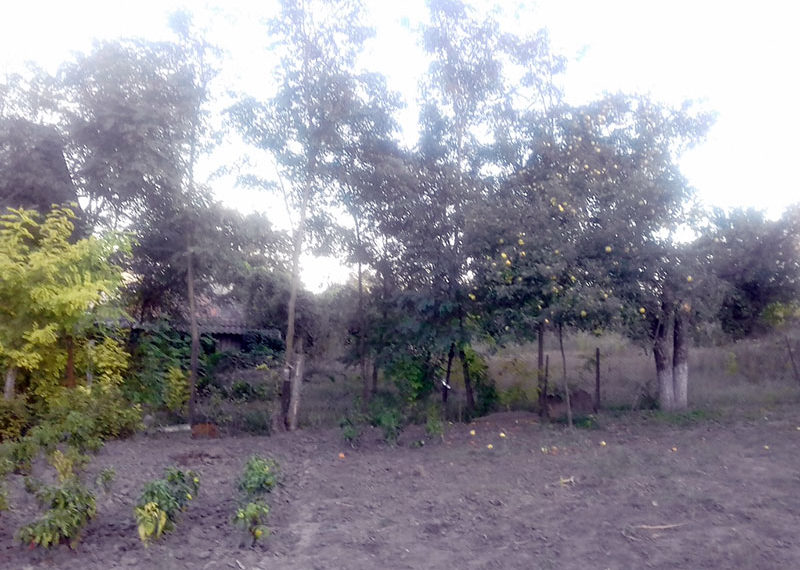 Nu sunt mere – e rău, sunt – nu știm ce să facem cu ele