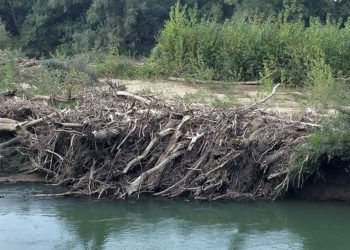 „Cum să facem Prutul mai curat?  Să nu aruncăm gunoi”