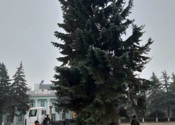 O, brad frumos…e instalat