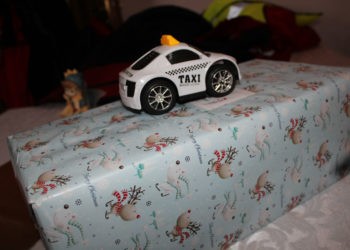 FOTO. De la copii pentru copii