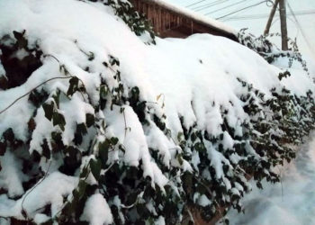 S-a lucrat non-stop la dezăpezirea drumurilor. Se circulă în condiții de iarnă