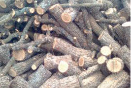 Lemne sunt, dar nu toate-s tăiate