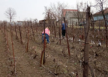 O primăvară ca multe altele