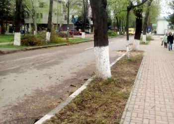Tăiatul arborilor în Ungheni s-a încheiat. Până la toamnă