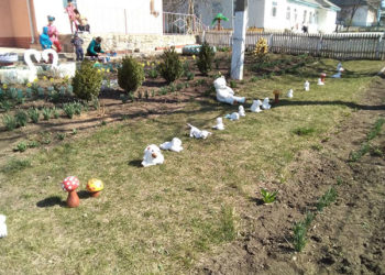 FOTO. Jucăriile de pluș la Drujba devin decorațiuni pentru curte