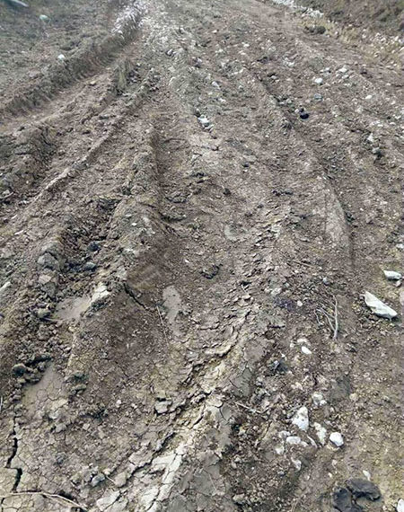 VIDEO. Posibil, noroi nu va fi în 2019