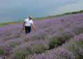 FOTO. La Blindești se întâlnește cerul cu pământul  sau despre unica plantație de lavandă  din raionul Ungheni
