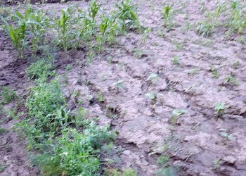 Acțiunile și protestele sunt deja inutile