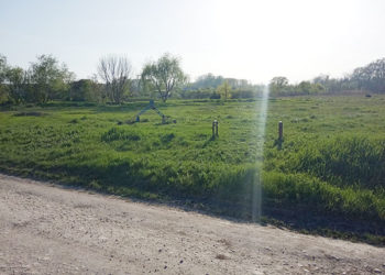 Teren de joacă sau imaș