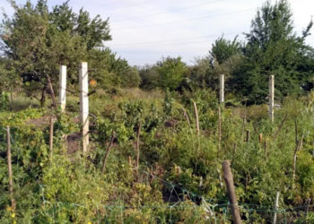 Dacă aveți întrebări referitoare la pământ, adresați-vă la primărie