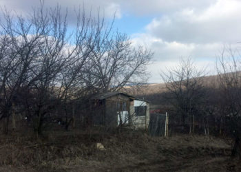 Căsuța de livadă ca loc de trai permanent și generator de probleme