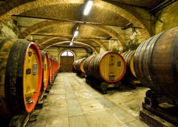 Republica Moldova cu o istorie vinicolă milenară în Revista Forbes