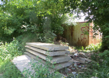 Cu mintea trează nu te descurci