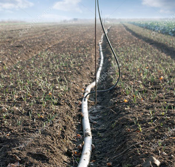 Nu mai înțeleg nimic