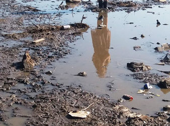 A transmis un mesaj ecologic profund cu apel la acțiune