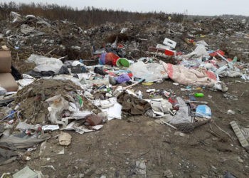 FOTO. Cine te-a acoperit, câmpule, cu această mizerie!