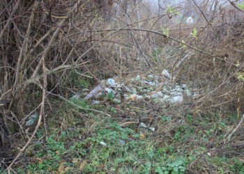 FOTO. Deșeuri aruncate pretutindeni, numai nu în groapa de gunoi
