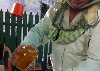 Petru Pidghirnîi: „Ele sunt familia mea acum”