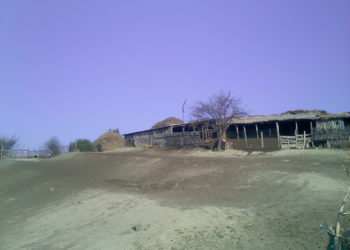 Din tainele păstoritului…