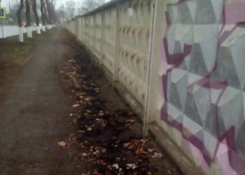 Ce să facem cu cei care nu înțeleg nimic