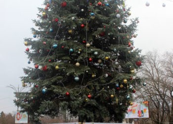 Faceți bradul frumos cu prezența voastră,  nu cu luminițele și jucăriile de pe el