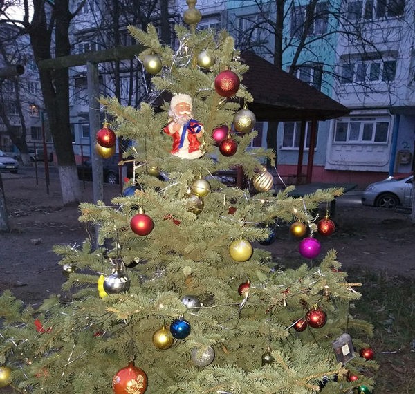 Brazi în fiecare cartier al municipiului Ungheni