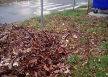 Asemenea indicatoare în Ungheni nu sunt o raritate