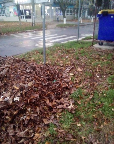 Asemenea indicatoare în Ungheni nu sunt o raritate