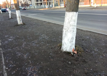 E mai ușor să tăi decât să plantezi