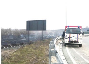 Incendiile de vegetație  în continuă creștere, ecologiștii  aplică amenzi usturătoare
