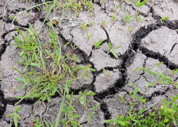 Fermierii pledează pentru revenirea la măsurile de protecție a solului