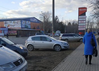 Jucătorii de dame culeg laurii