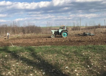 Cum să ne îngrijim câmpurile în condițiile anului 2020