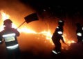 Incendiu de vegetație uscată la Alexeevca