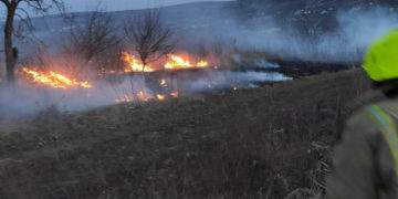 Incendiu de vegetație uscată la Alexeevca