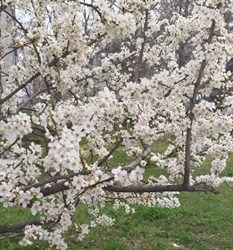 Optimismul ne va ajuta