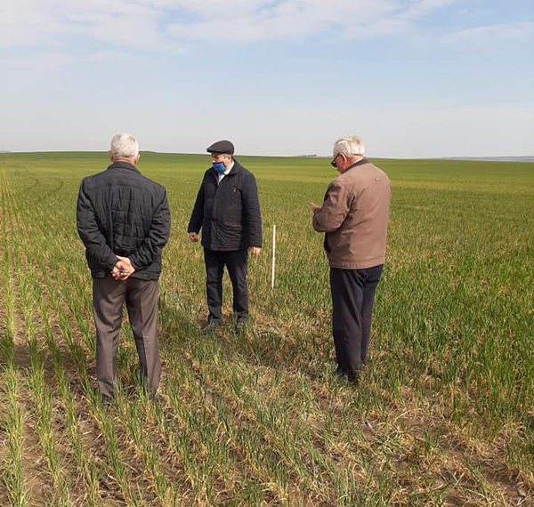 FOTO. Situație alarmantă în agricultură. Culturile de categoria I nu mai au nici o șansă