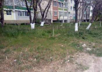 Curățenia necesită o muncă în echipă