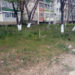 Curățenia necesită o muncă în echipă